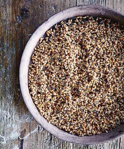 Why You Should Sprout Your Grains and Seeds